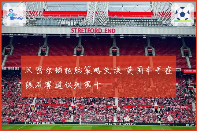 汉密尔顿轮胎策略失误 英国车手在银石赛道仅列第十