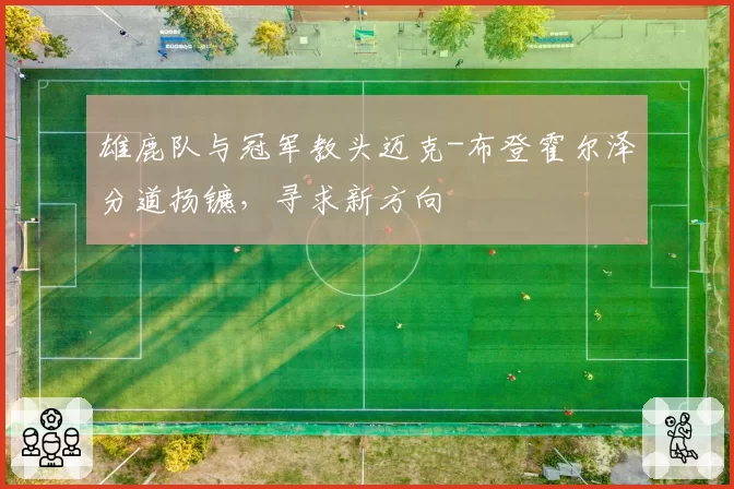 雄鹿队与冠军教头迈克-布登霍尔泽分道扬镳,寻求新方向